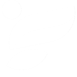 Infly Networks